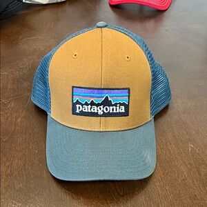 Patagonia Brown and Blue Trucker Hat